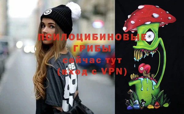 МДПВ Михайловск