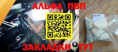 прущие грибы Камышлов