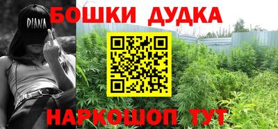 прущие грибы Камышлов