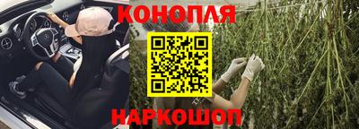 прущие грибы Камышлов