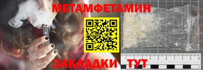 прущие грибы Камышлов