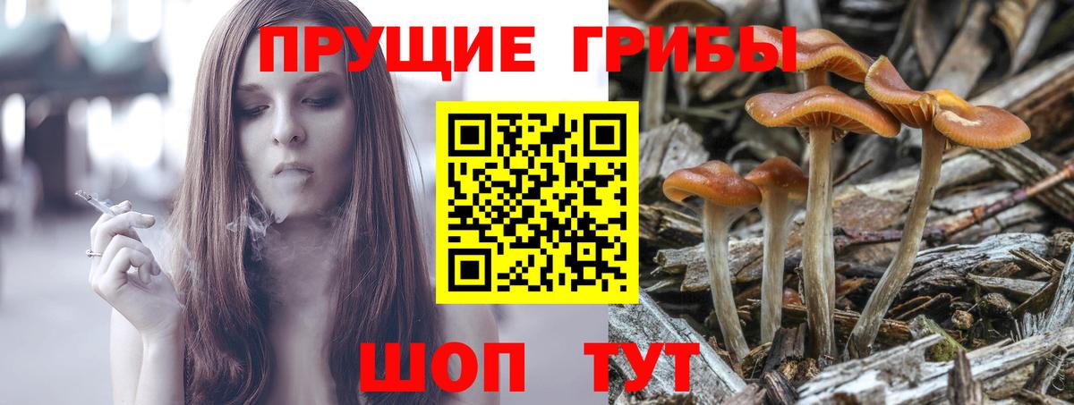 Псилоцибиновые грибы MAGIC MUSHROOMS Черняховск
