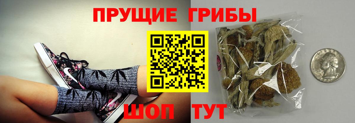 Псилоцибиновые грибы мухоморы  как найти закладки  Черняховск  Псилоцибиновые грибы GOLDEN TEACHER  Вход с VPN 