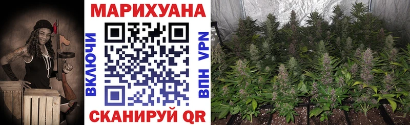 Марихуана Bruce Banner  как найти закладки  MEGA как войти  Черняховск 